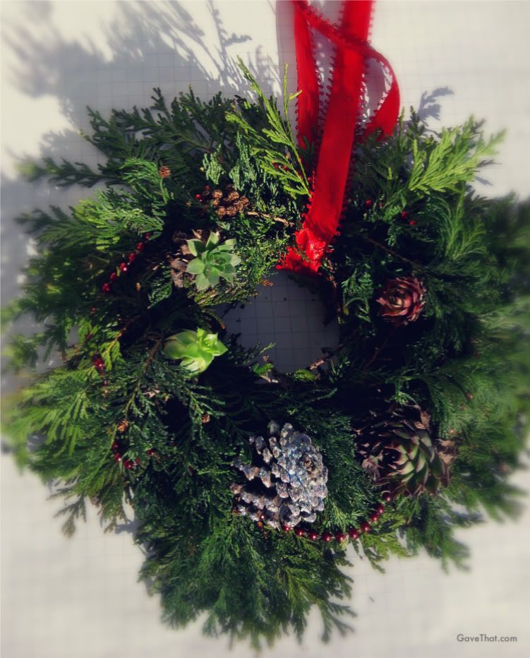 How to make your own living Christmas wreath decorations and gifts DIY