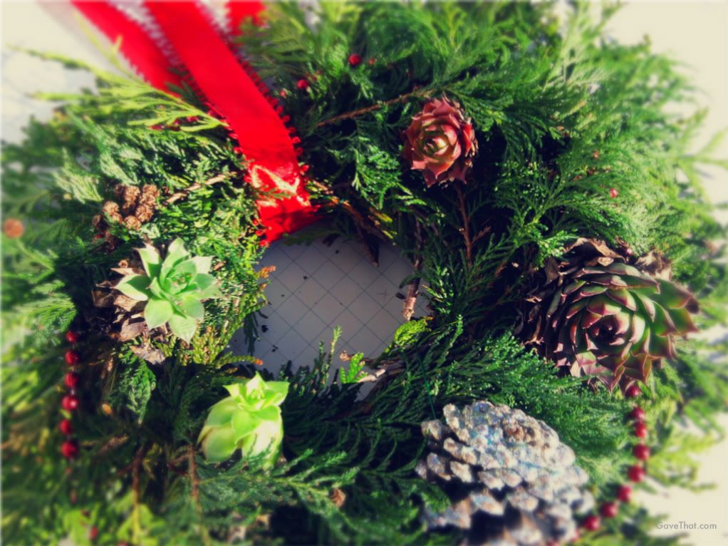 Making your own living wreaths