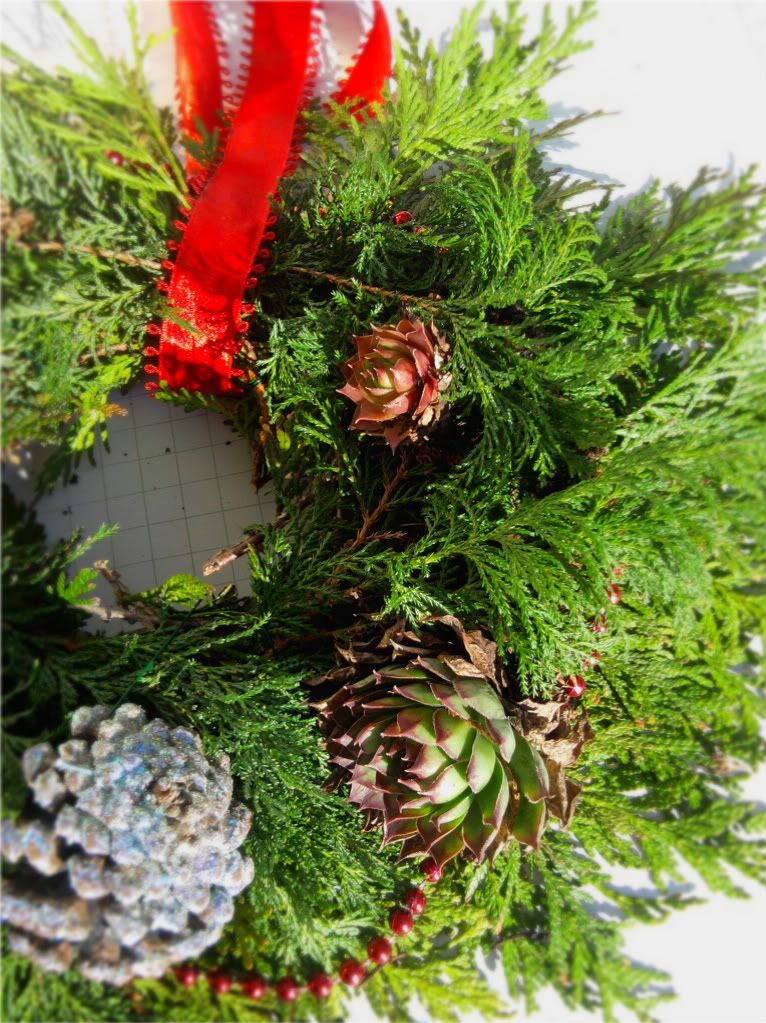 DIY living holiday wreath decorations