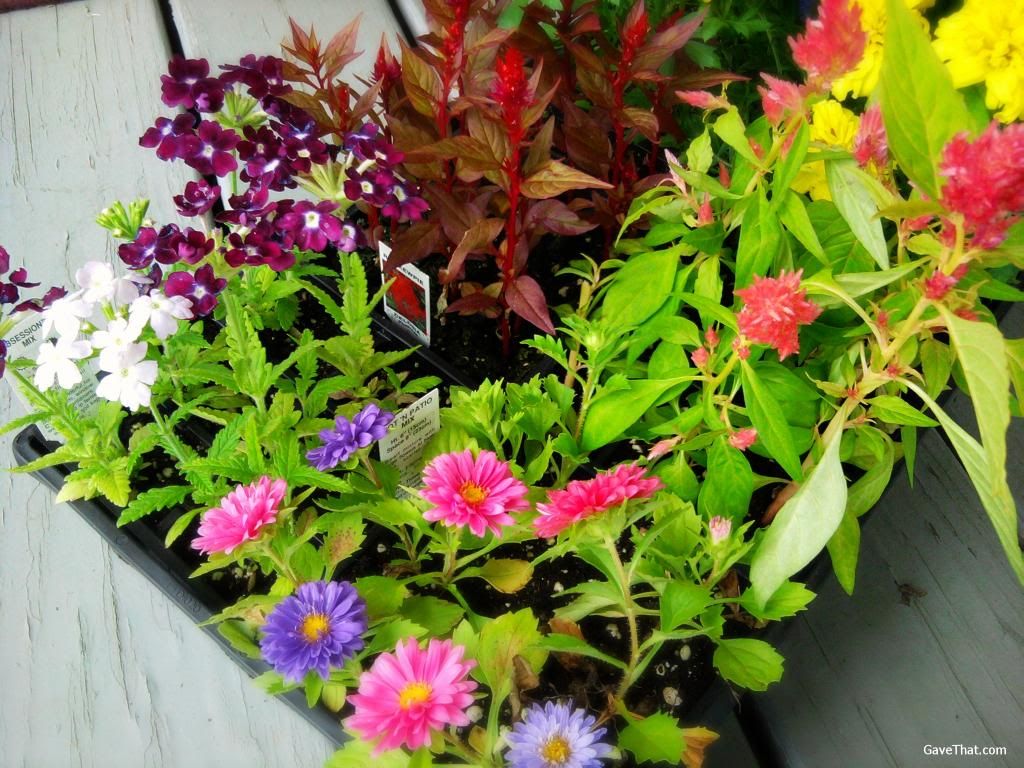 Madas DIY planter box arrangement