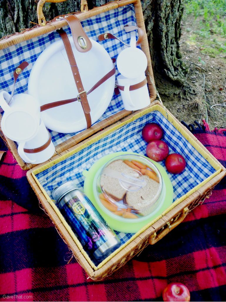 Our picnic basket with a Polar Bottle PlateTopper some healthy snacks