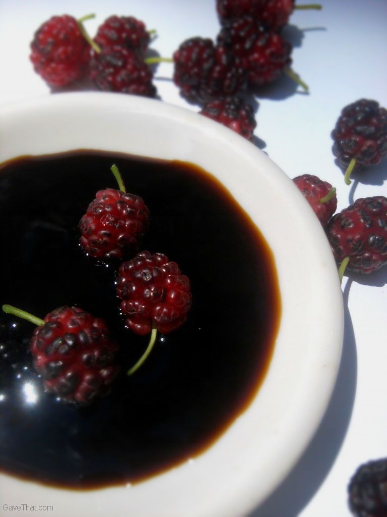 DIY mulberry flavored vinegar hostess gift idea