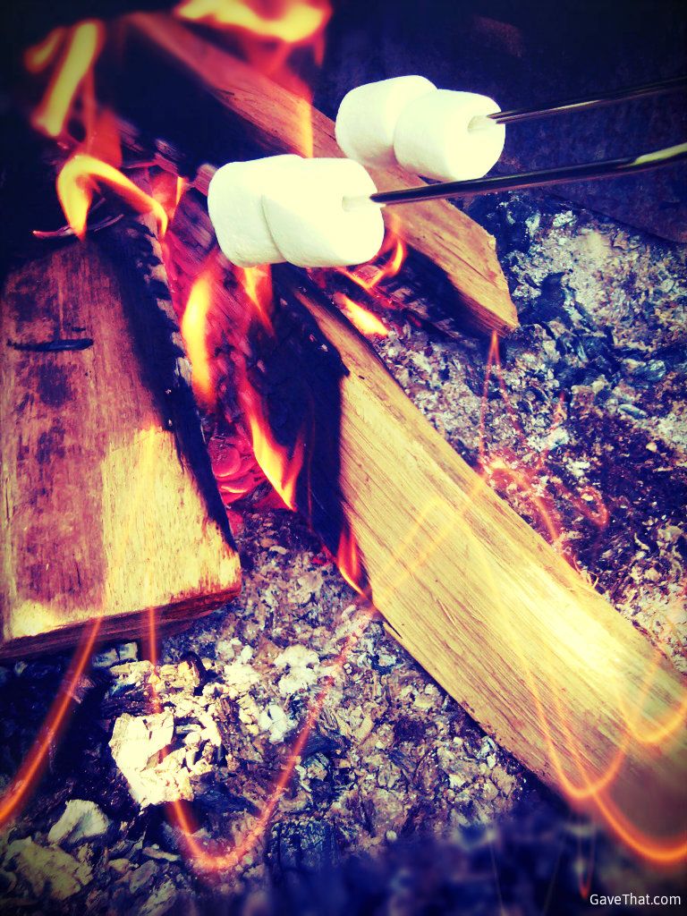 Marshmallows on the bonfire