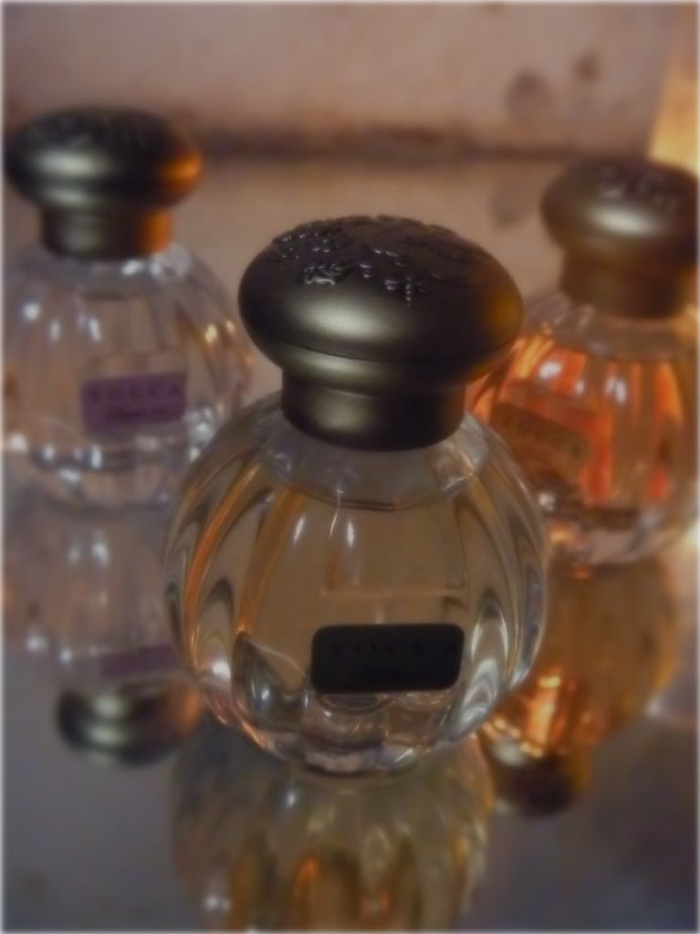 mam for gave that TOCCA perfumes