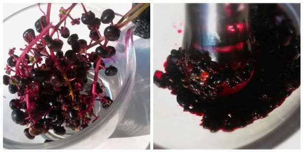 Creating natural Poke Berry Ink in mortar Pestle
