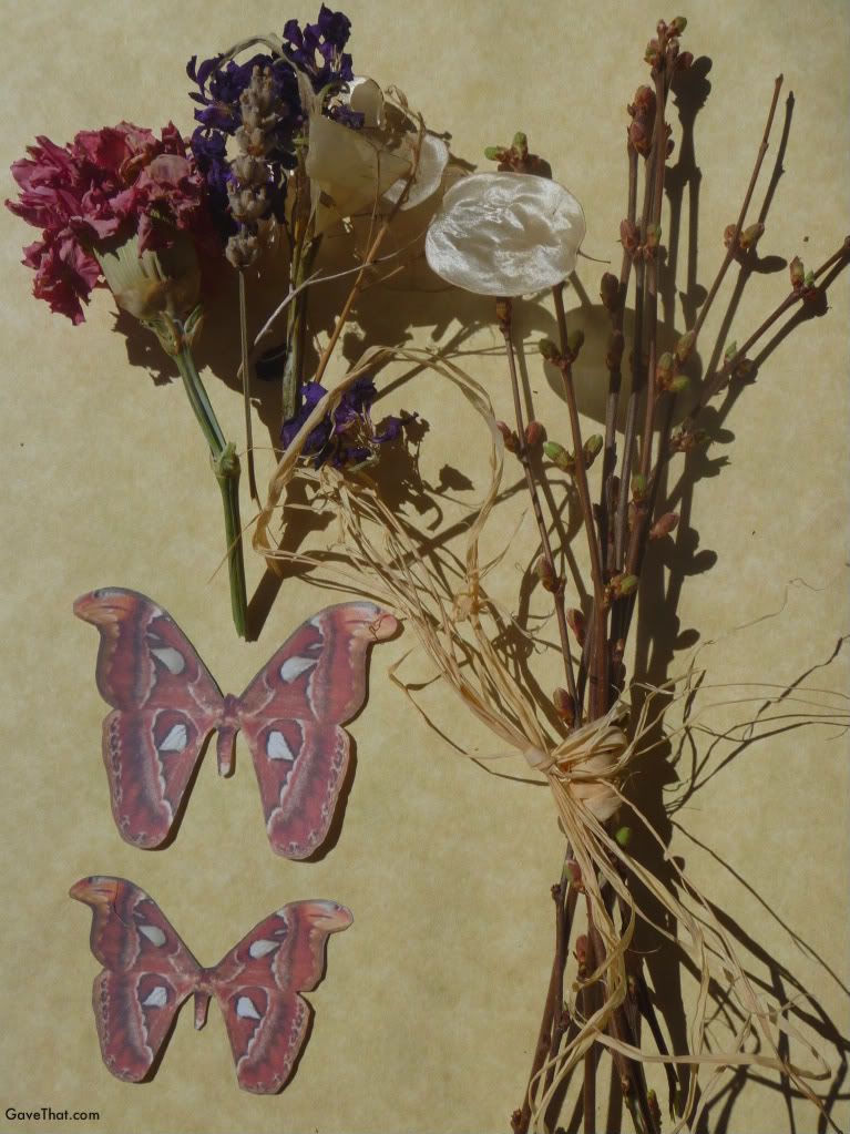 mam for gift wrap blog gave that dried flowers budding branches paper moths