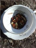 Tea Blend