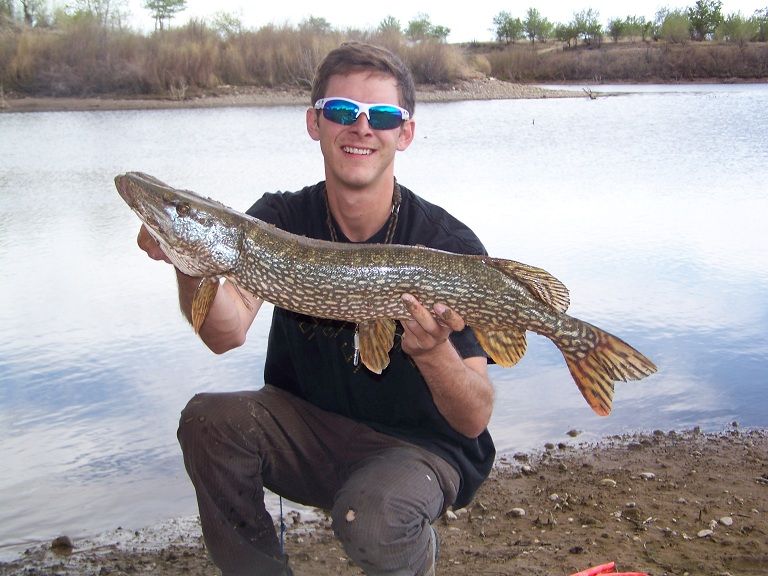 [Image: pike.jpg]