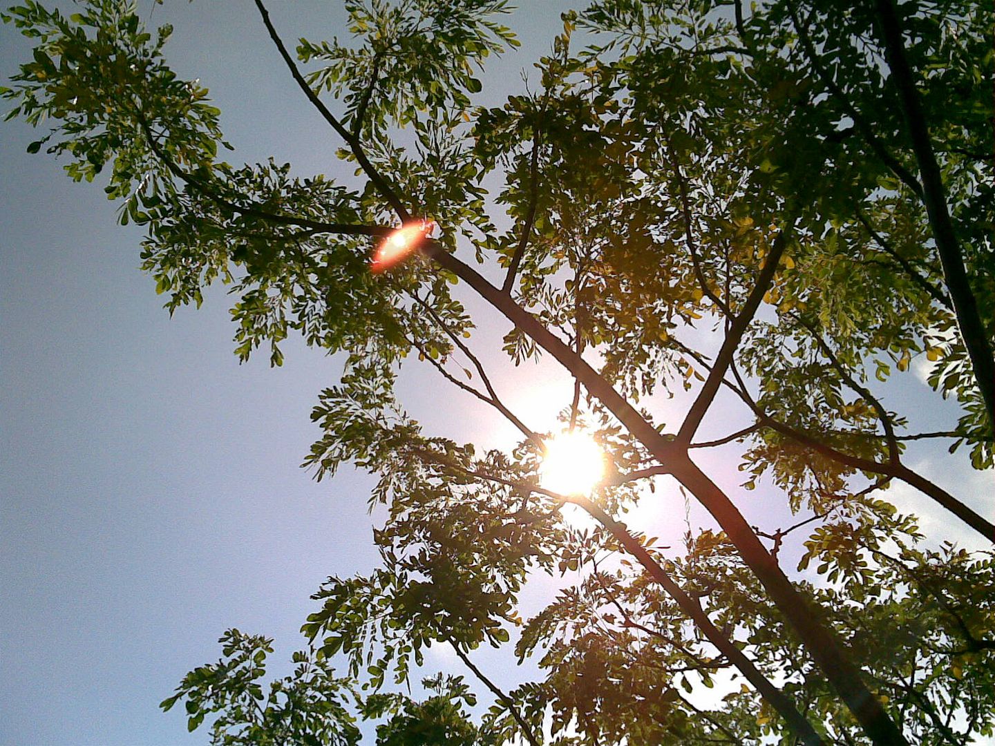 Sun (2)
