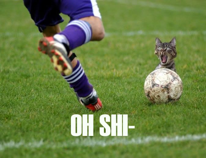 Pictures  that make you LOL (IMG INTENSIVE)