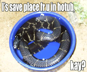 Pictures  that make you LOL (IMG INTENSIVE)