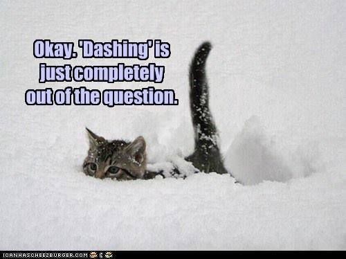 Okay, How Much Snow Did Y'all Get This Winter?