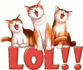 First video of kittens