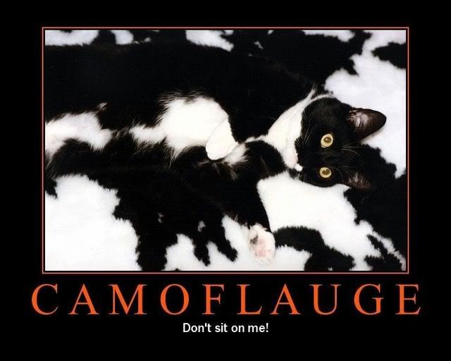 Pictures  that make you LOL (IMG INTENSIVE)