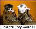 For those who like shoes ....(image)