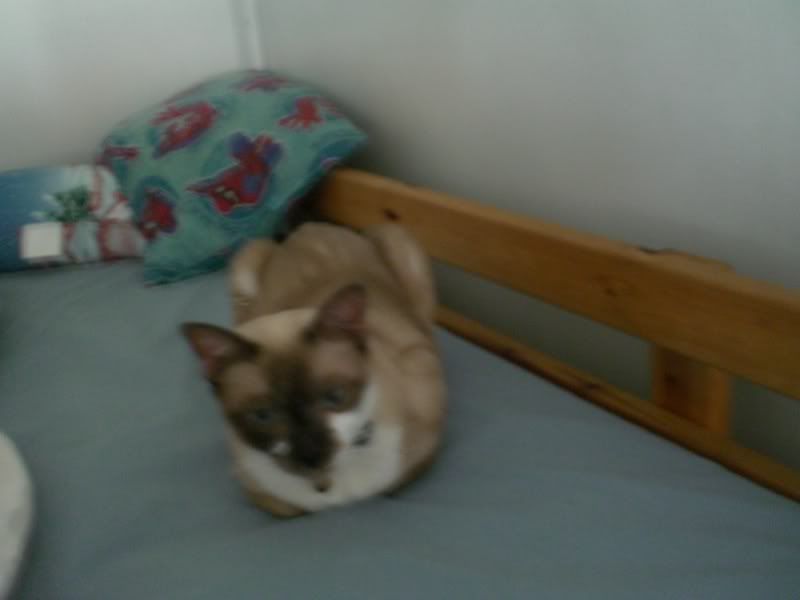 Photobucket - Video and Image Hosting