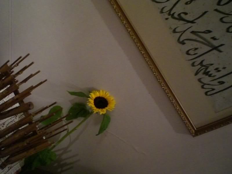 lonely sunflower