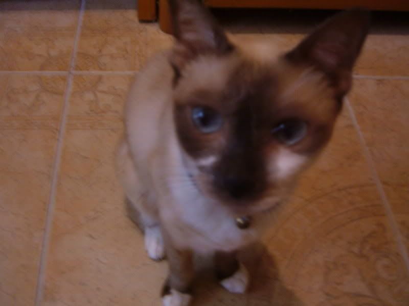 Photobucket - Video and Image Hosting