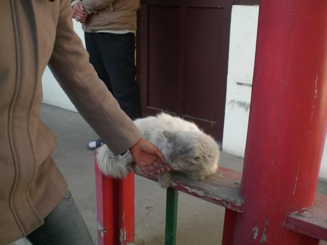 Photobucket - Video and Image Hosting