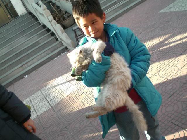 Photobucket - Video and Image Hosting