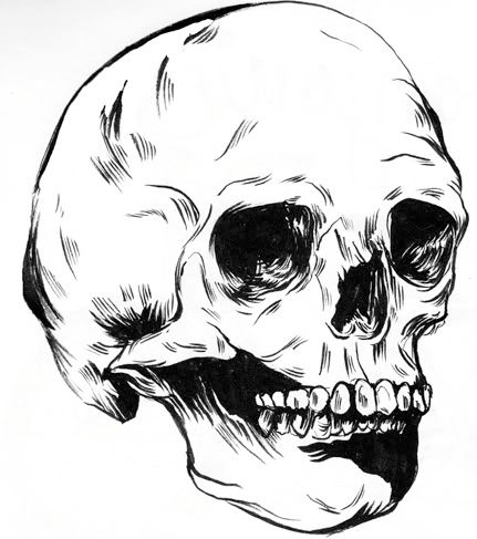 Hamlet Skull Drawing