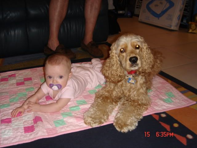 Image hosted by Photobucket.com