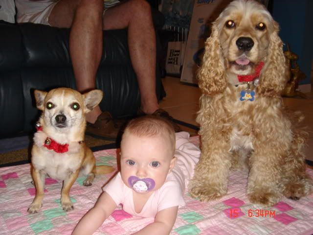 Image hosted by Photobucket.com