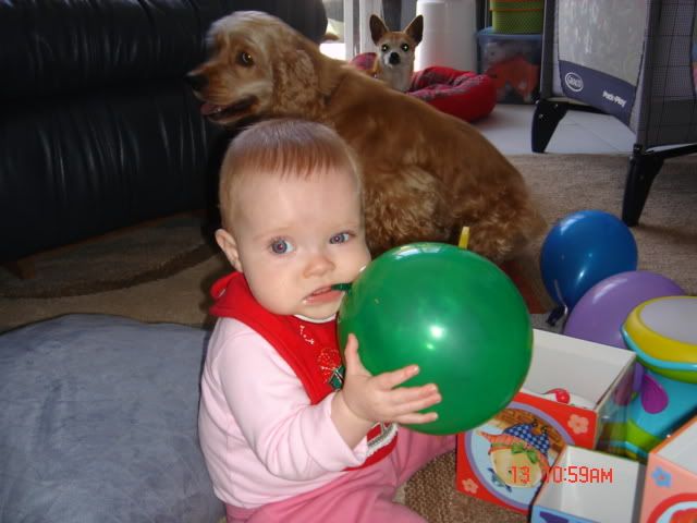 Image hosting by Photobucket