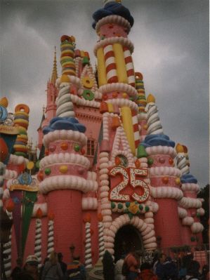 1996pinkcastle_zpsefc2c575.jpg