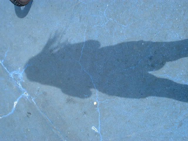 Photobucket - Video and Image Hosting