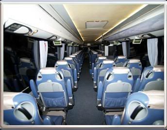bus3.jpg