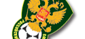 th_russia.png