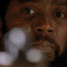 WTFav.gif
