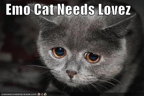 EmoCat.jpg