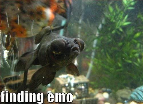 findingEmo.jpg