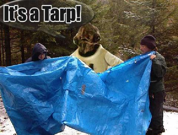 tarp.png