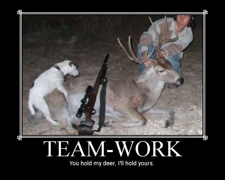 teamworkom2.jpg