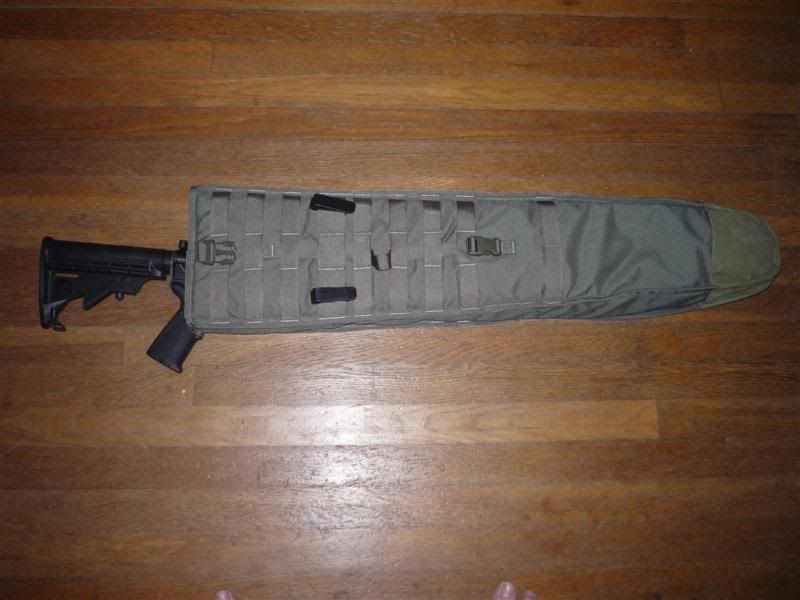P1090575Medium.jpg