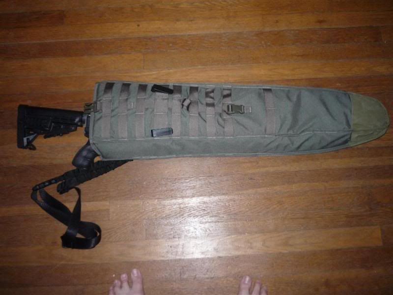 P1090578Medium.jpg