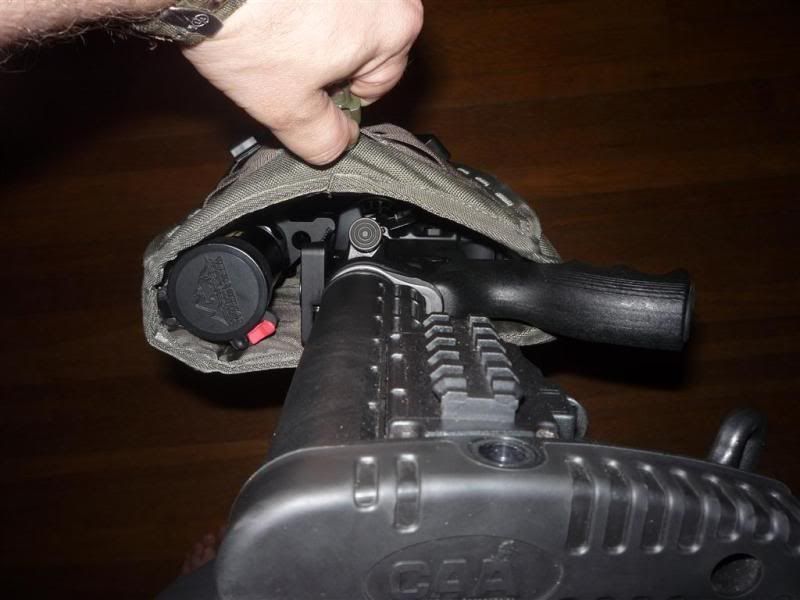 P1090579Medium.jpg