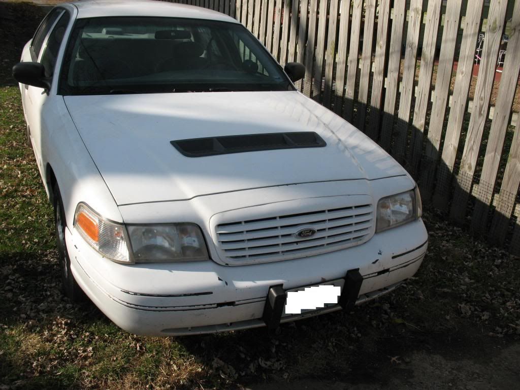 2011 Shelby GT 500 heat extractor in a Crown Vic? Body and Interior