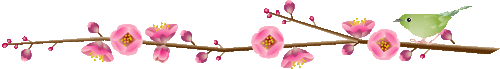 2004121217075571.gif
