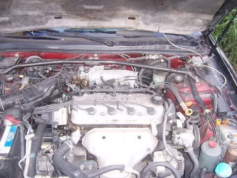 Miami Acura on 1997 Acura Cl 2 2 Miami Fl Customtacos Com Forum