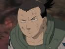 <img:http://i18.photobucket.com/albums/b149/wheelsy/Nara_Shikamaru.jpg>