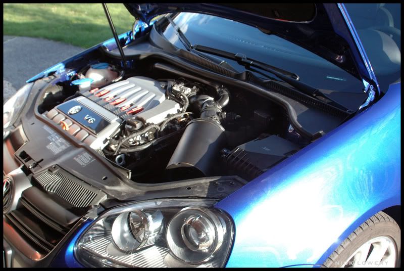 Vwvortex Com
