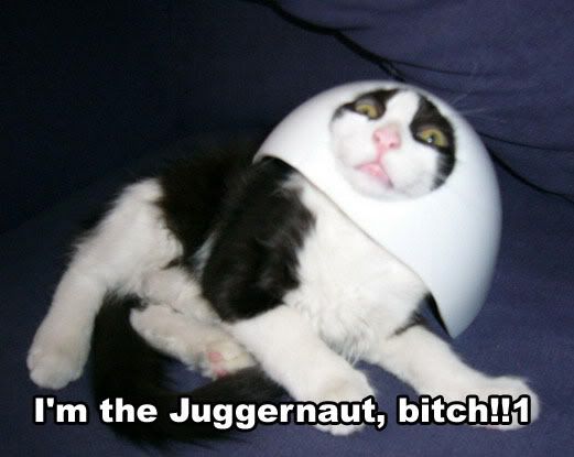 User Image