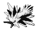 [PokeCommunity.com] ***--DCB's Sprite Shop 3.0--***