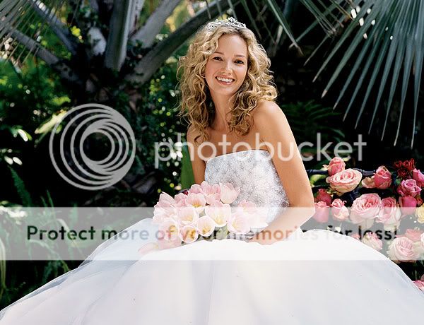http://i18.photobucket.com/albums/b105/Mirlenh/Wedding%20Dresses/Dress.jpg