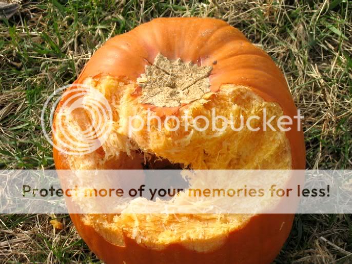 Image hosted by Photobucket.com