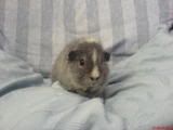 DSC00790.jpg